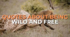 quotes about being wild and free